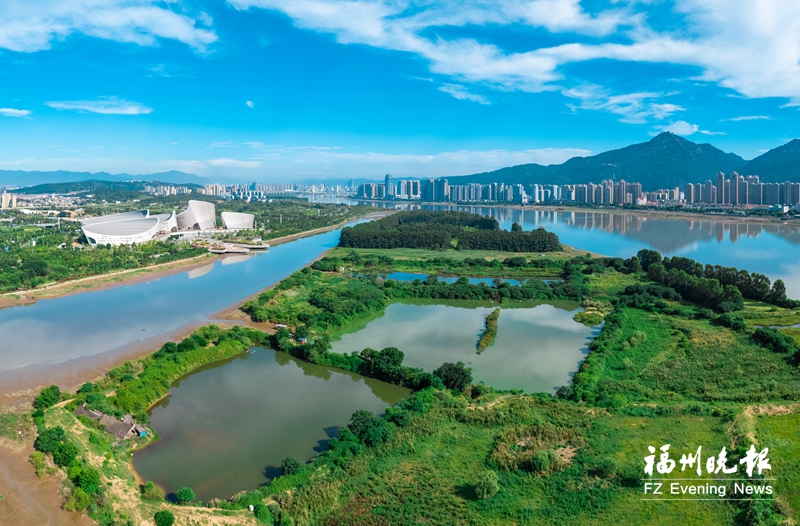 福州获评“国际湿地城市” 系城市湿地生态保护的最高成就(图4)
