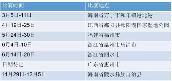 2016中华龙舟大赛全解千帆相竞搅动水上风波(图2)
