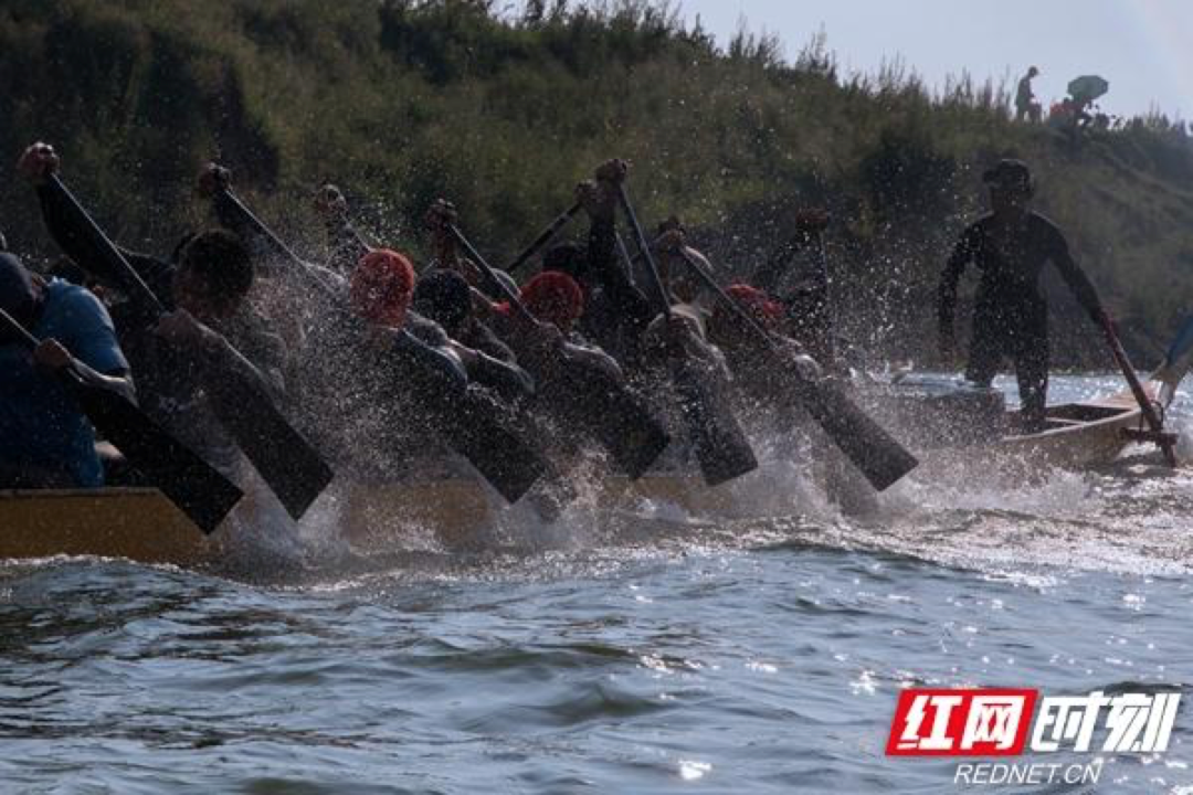 汨罗龙舟制造：龙舟竞渡时 风起汨罗江 湘农荟驿站·区域特色产业⑤(图8)