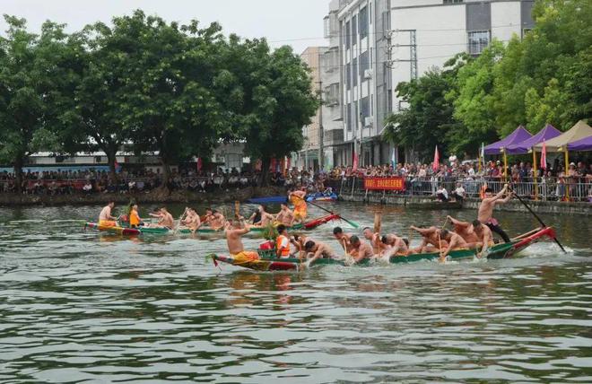 热闹！澄海各地龙舟赛精彩纷呈你来看了吗！！(图1)