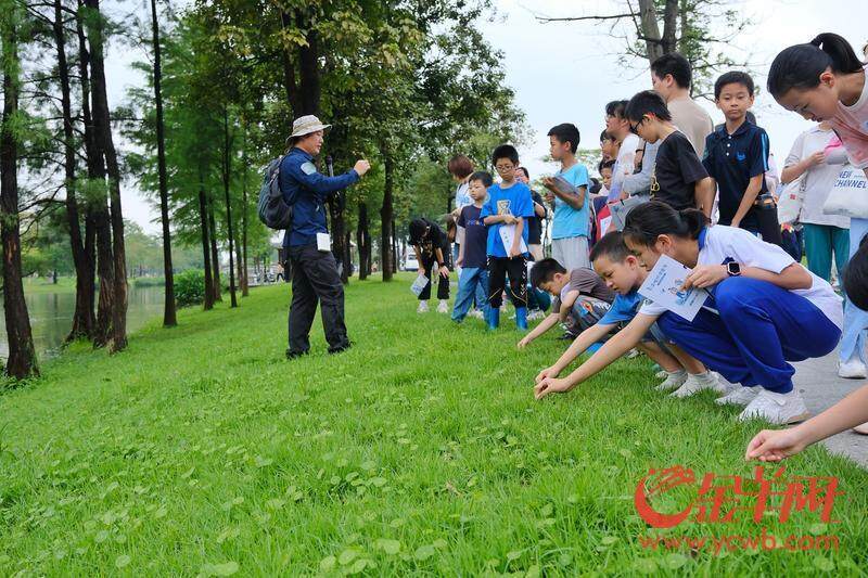 @荔湾街坊2025荔湾工作重点来了！涉及你的“衣食住行”｜聚“荔”新发展⑱(图5)