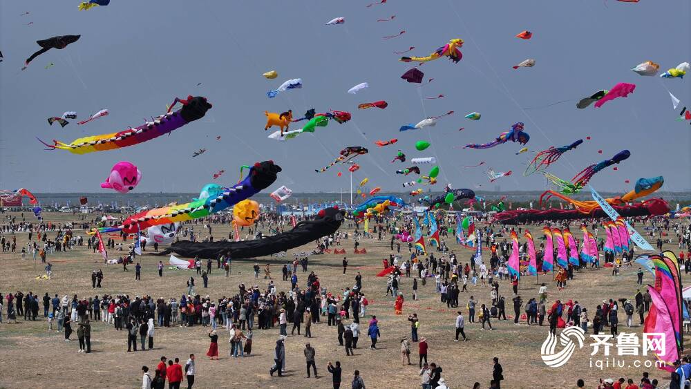 第21届世界风筝锦标赛在潍坊滨海区开赛(图1)
