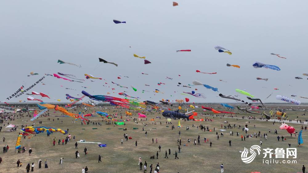 第21届世界风筝锦标赛在潍坊滨海区开赛(图2)