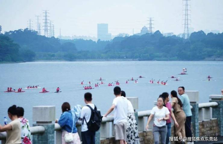 起龙、龙舟赛、文艺巡游五一假期来东莞睇龙船啦!(图13)