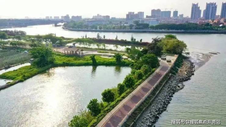 起龙、龙舟赛、文艺巡游五一假期来东莞睇龙船啦!(图16)