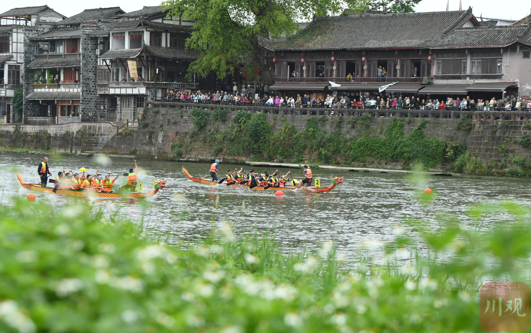 C视觉丨四川成都：700名选手齐聚古镇竞渡(图1)