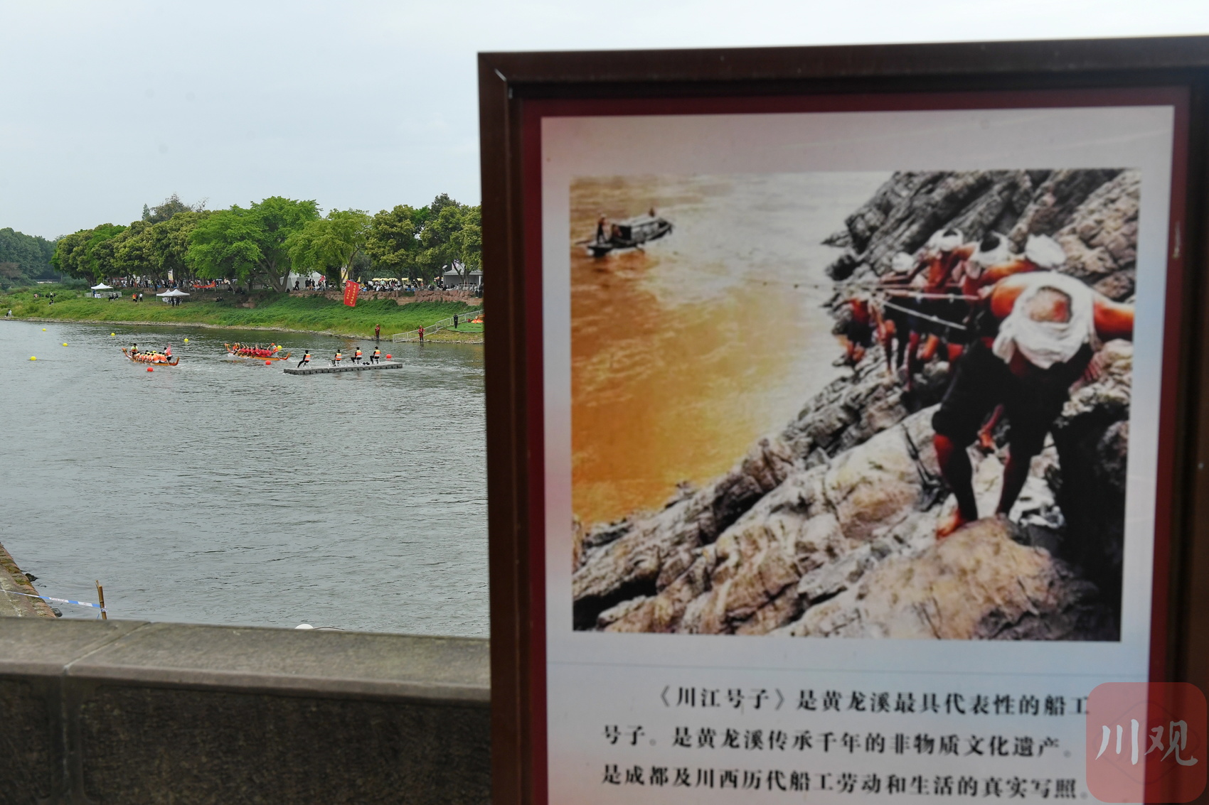 C视觉丨四川成都：700名选手齐聚古镇竞渡(图6)