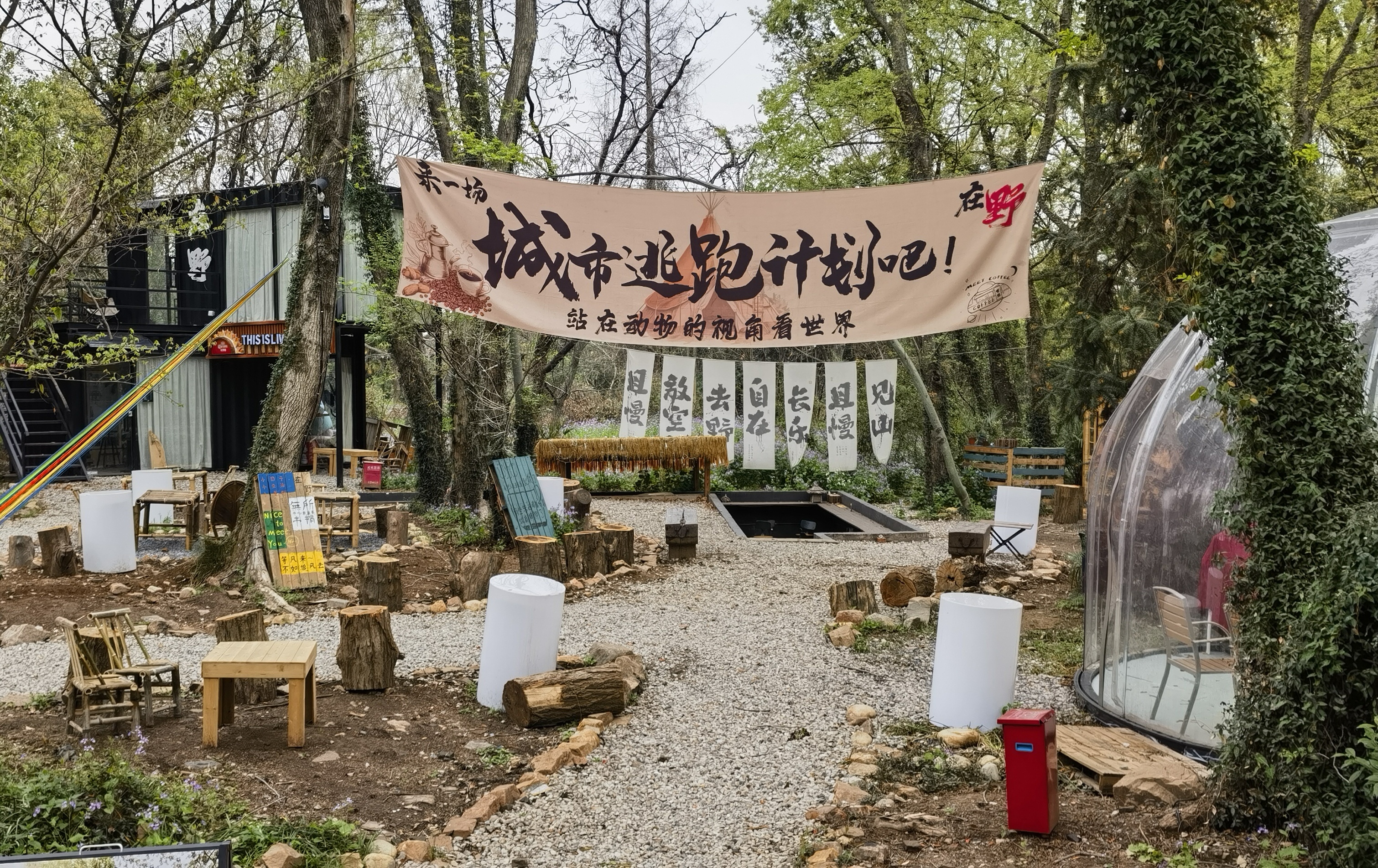 赴一场江南夏约！苏州2025夏季文旅盛宴启幕(图3)