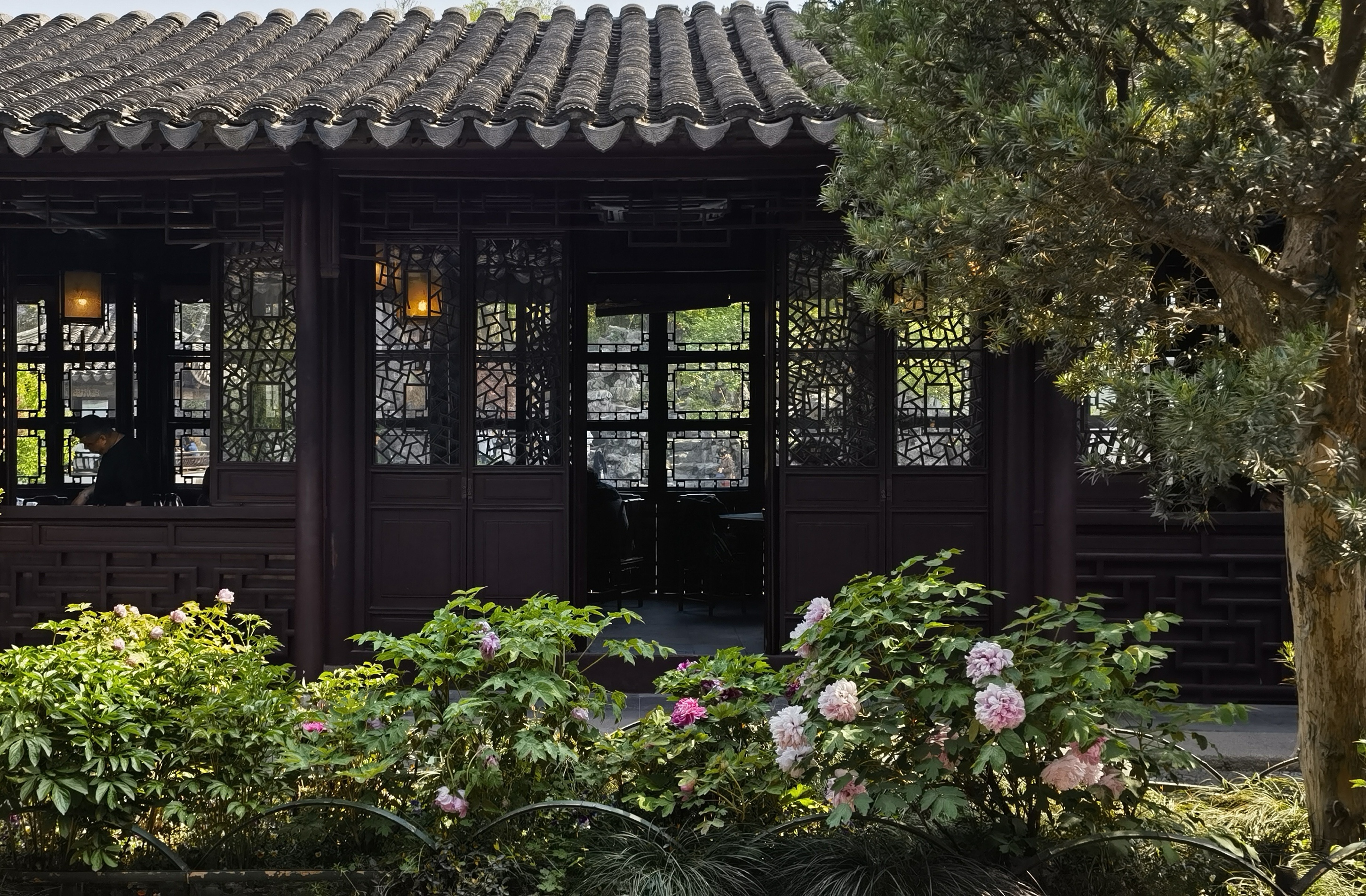 赴一场江南夏约！苏州2025夏季文旅盛宴启幕(图7)