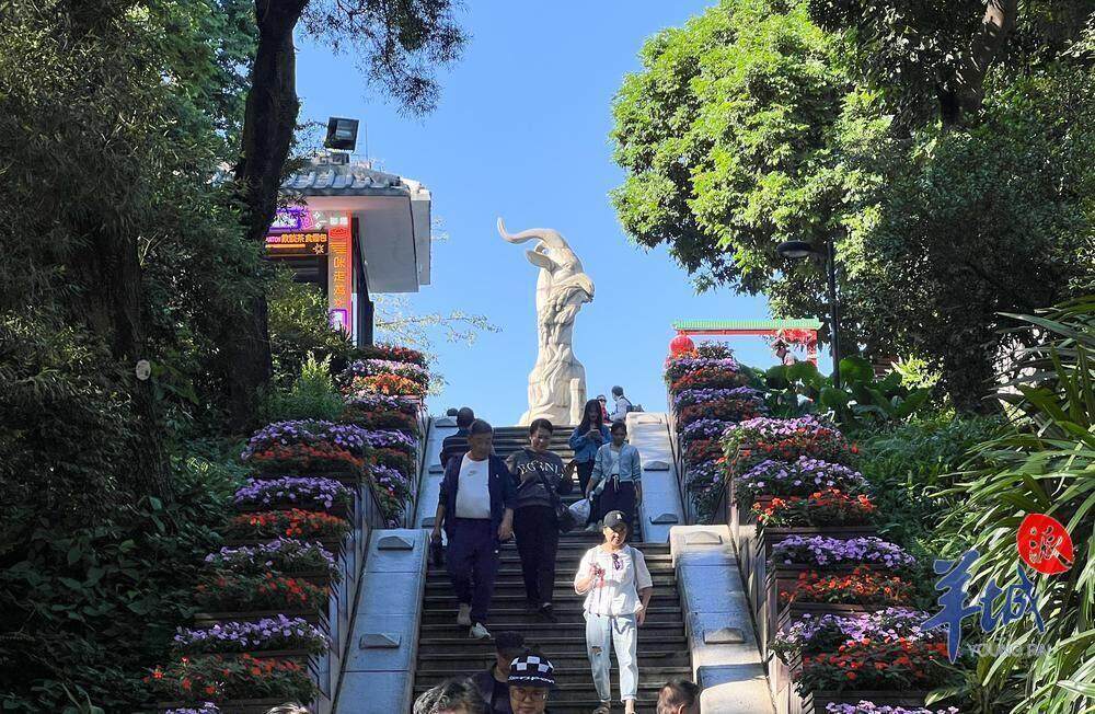 早读｜广东第十二届大学生运动会开幕；赵心童夺冠刷新多项纪录