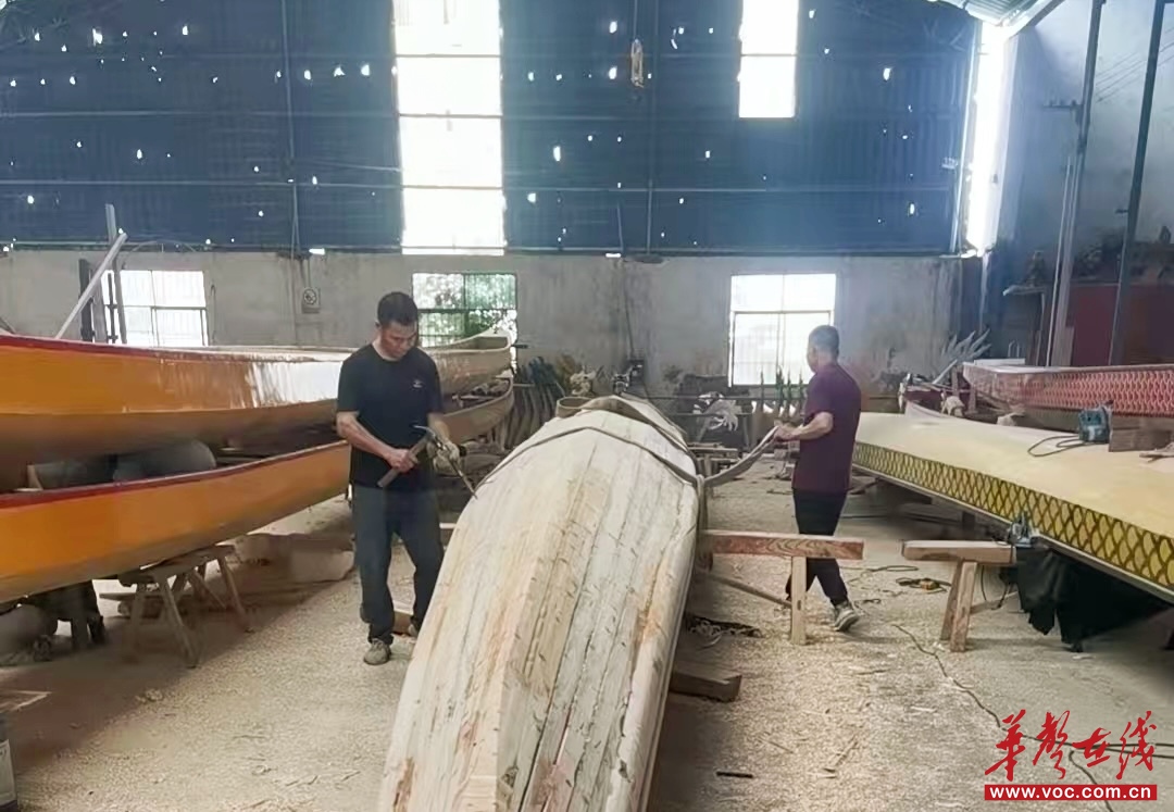 端午话非遗①一浆划千年 端午赛龙舟