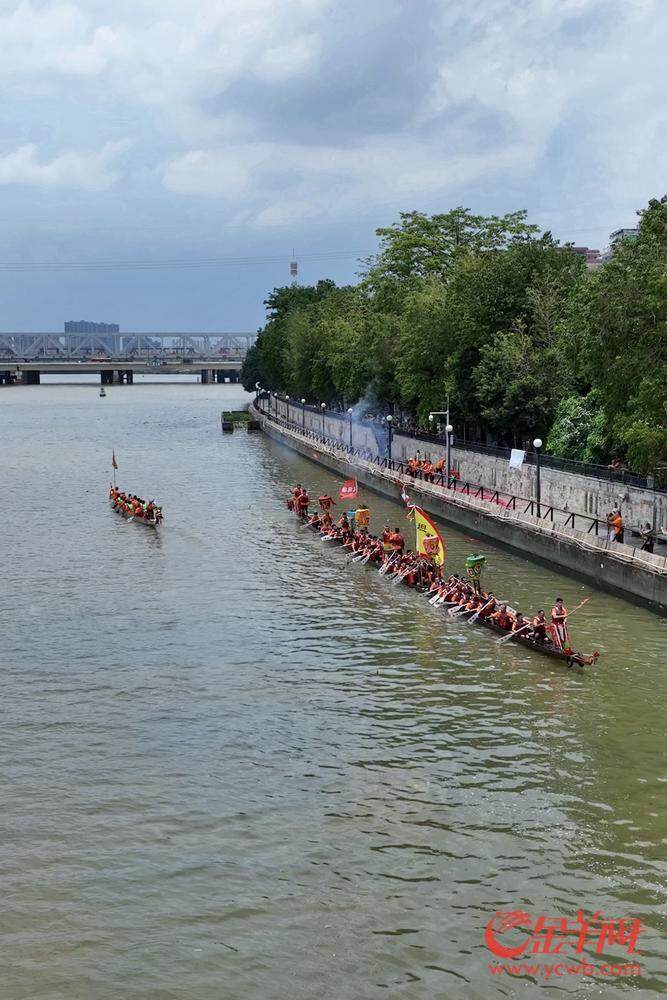 视频+图集｜“双桥烟雨”龙船鼓响坦尾“新龙”显威风(图5)
