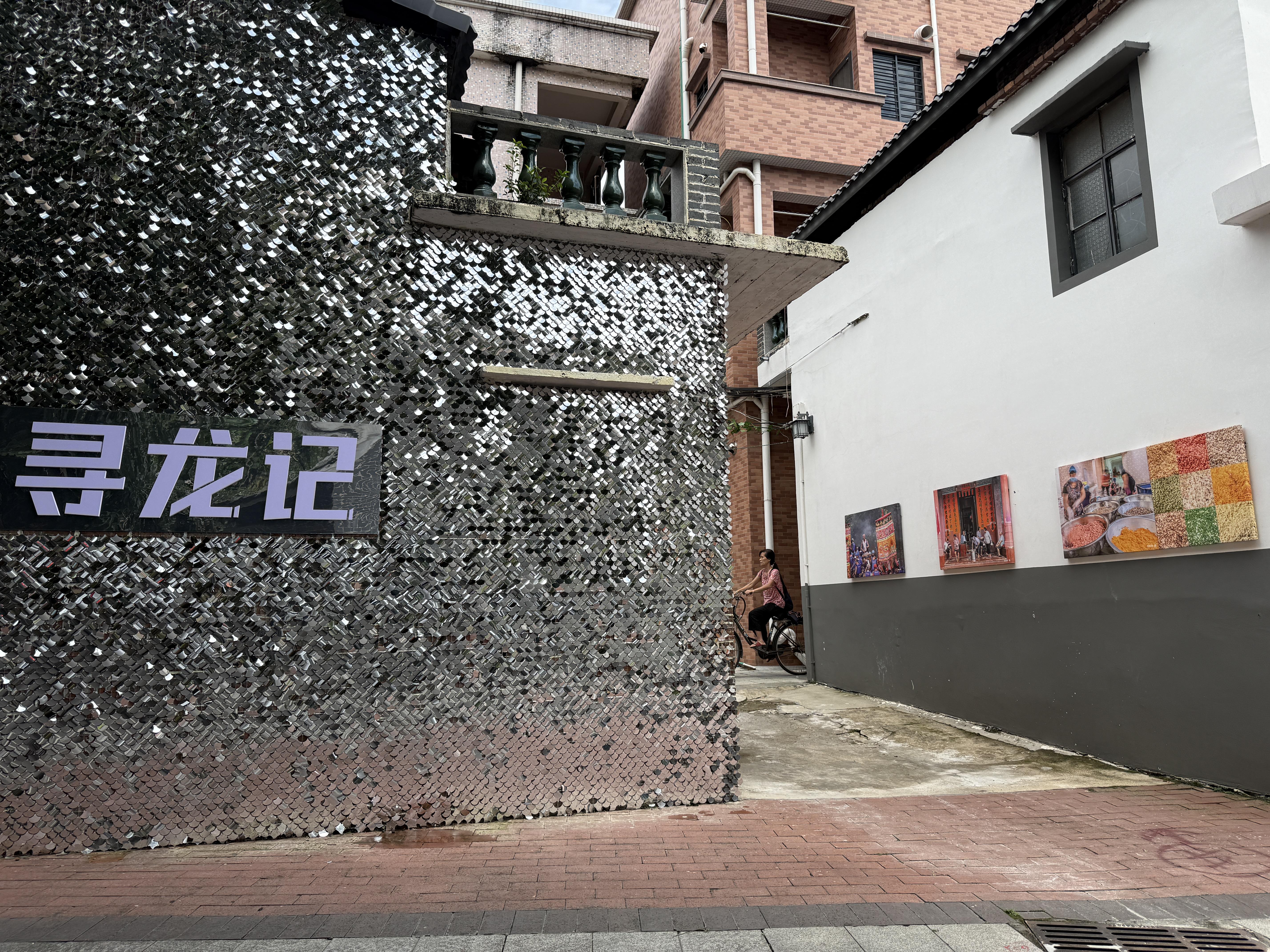 【视频】记者“寻龙”：岭南龙舟正酣划出“百千万工程”人文经济新航道(图8)