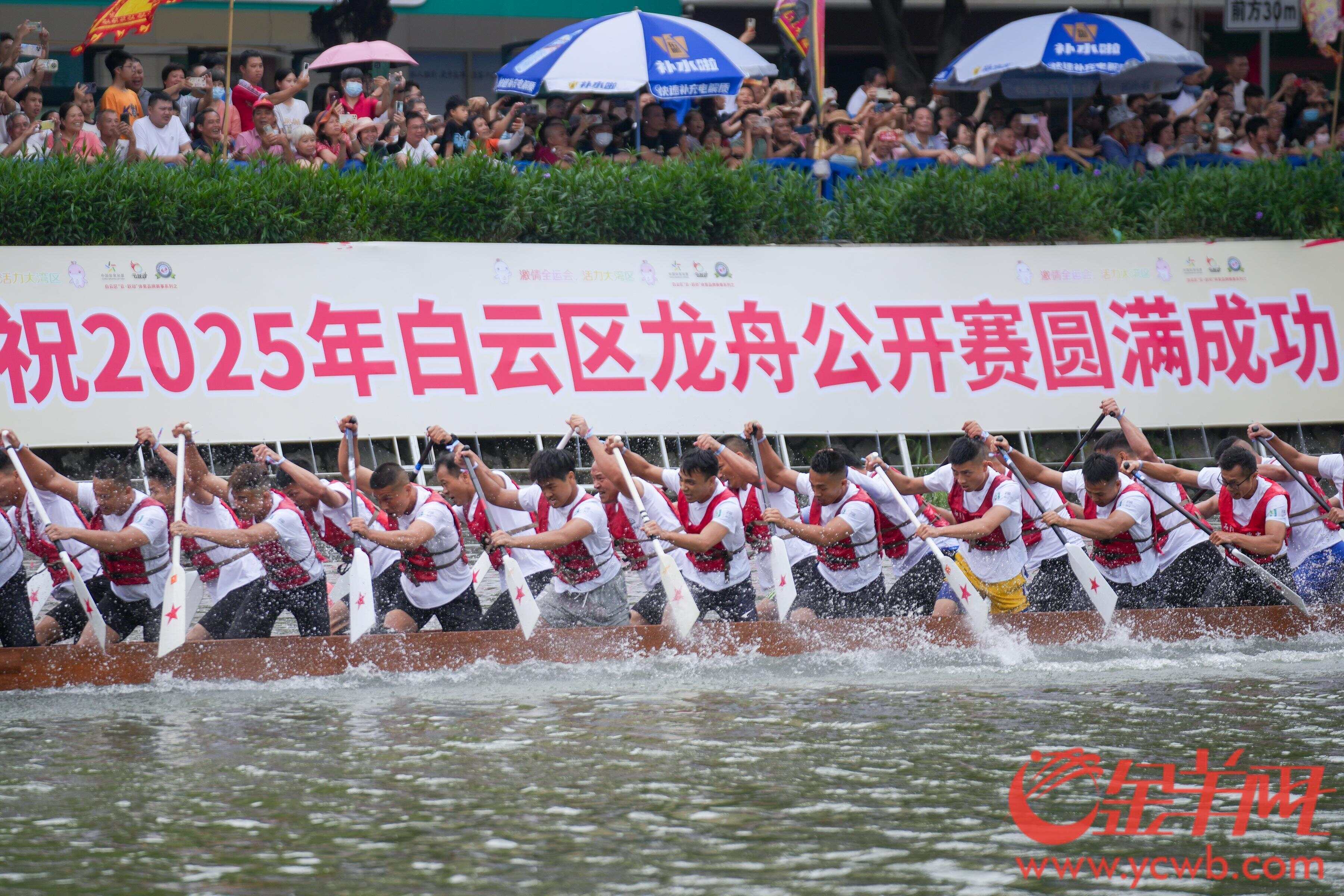 阔别13年石井河再现“群龙争霸”！白云区龙舟公开赛激情上演