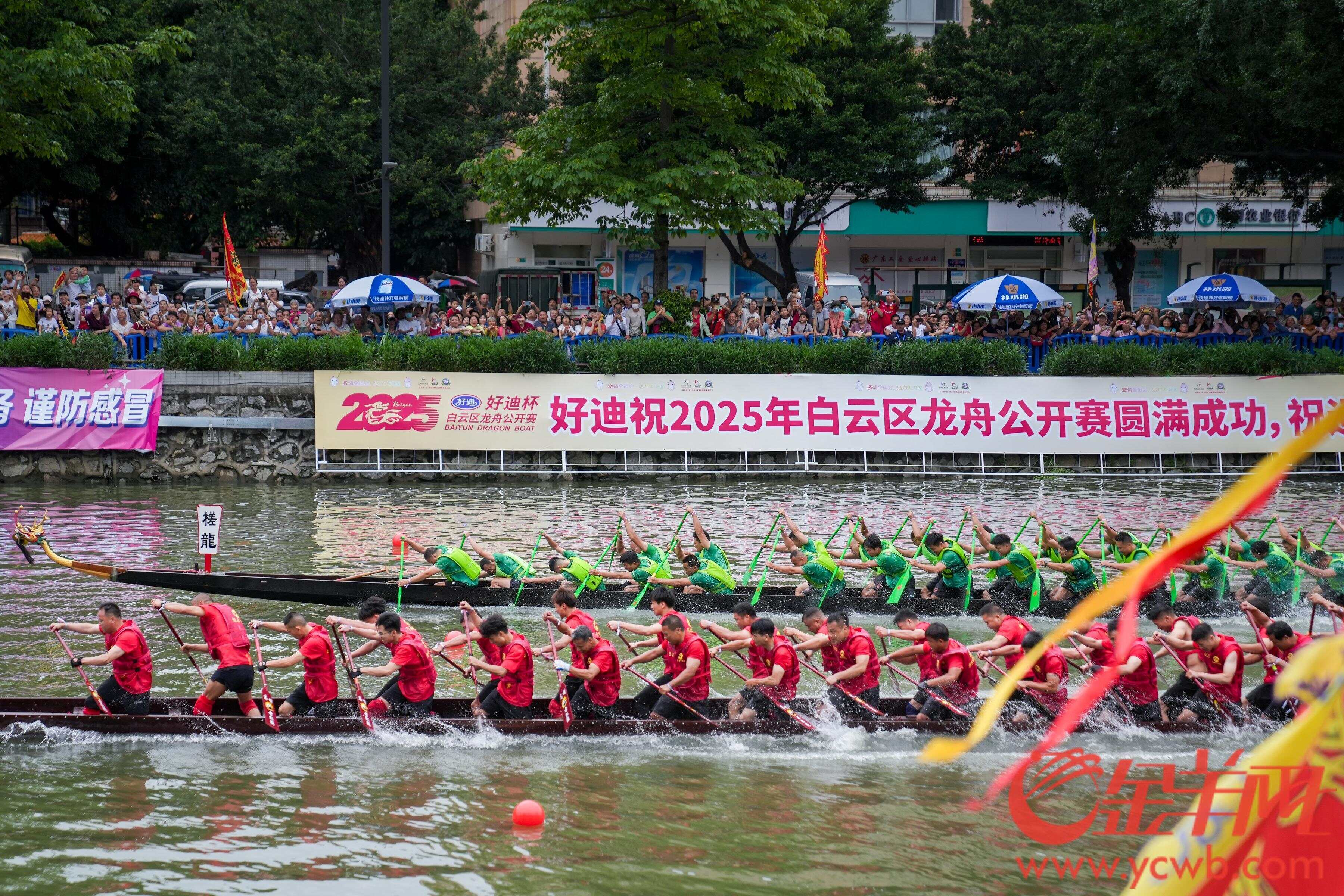 阔别13年石井河再现“群龙争霸”！白云区龙舟公开赛激情上演(图2)
