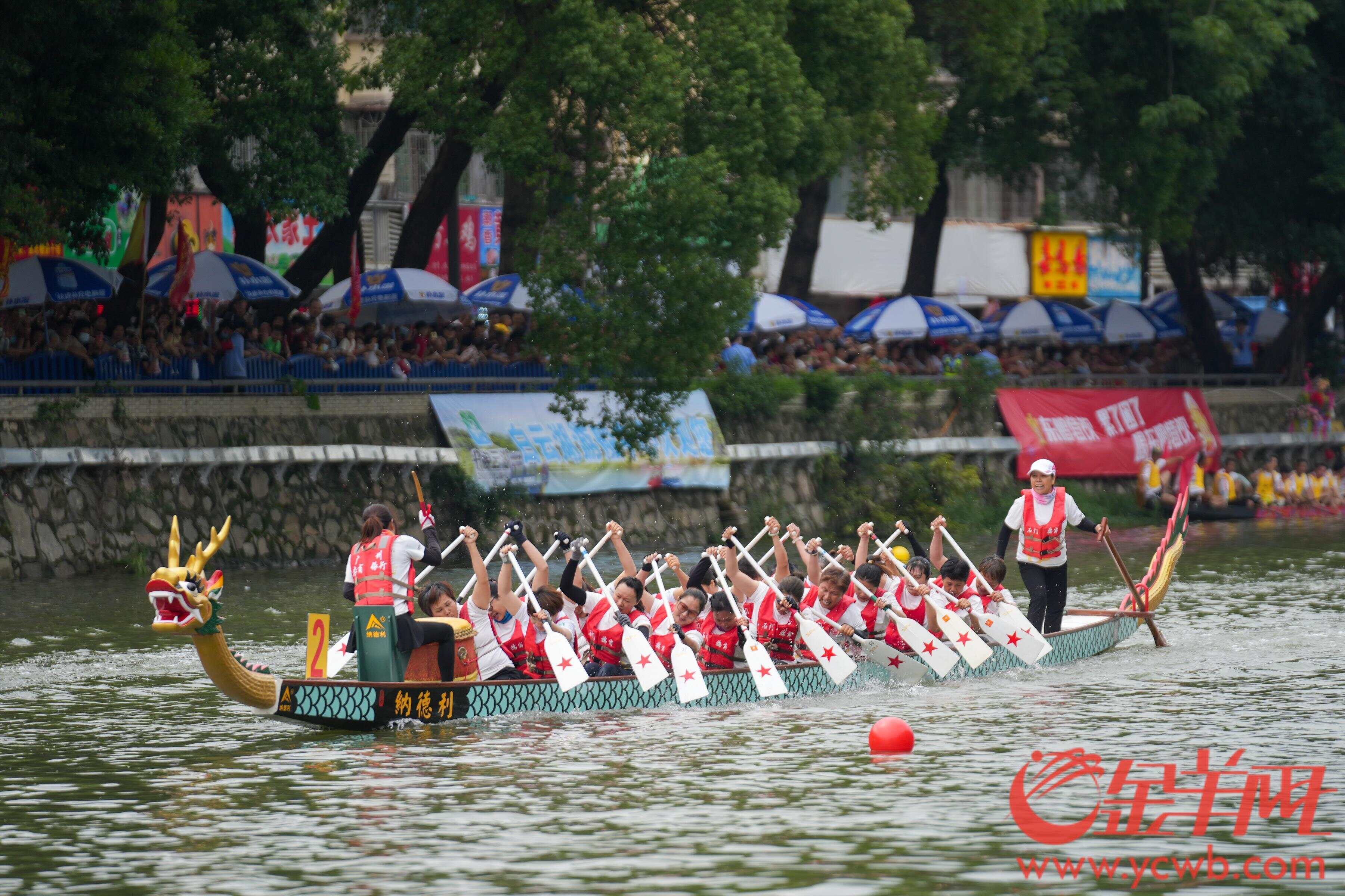 阔别13年石井河再现“群龙争霸”！白云区龙舟公开赛激情上演(图3)