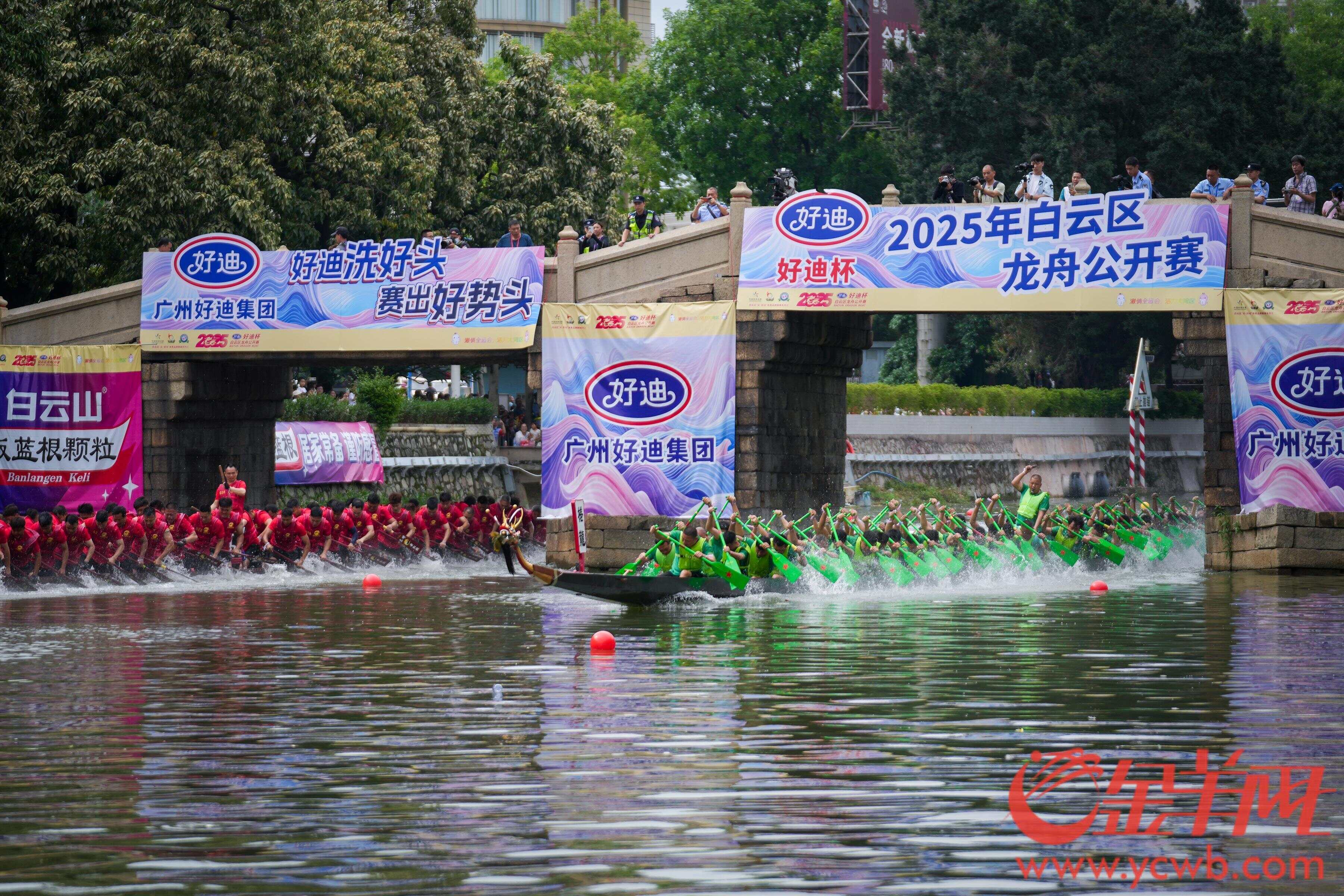 阔别13年石井河再现“群龙争霸”！白云区龙舟公开赛激情上演(图4)