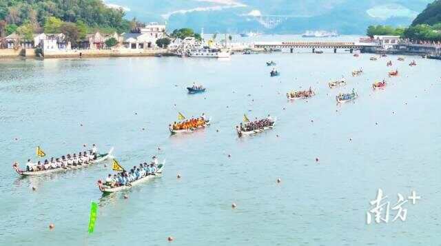 广东各地龙舟赛火热开桨这个假期的观赛指南来了→(图4)