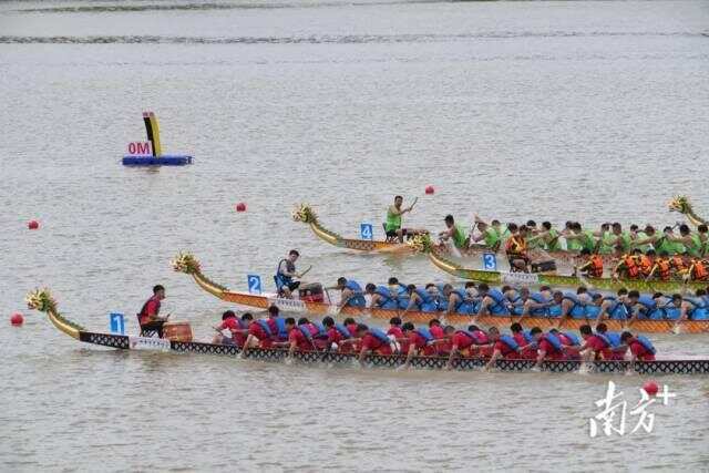 广东各地龙舟赛火热开桨这个假期的观赛指南来了→(图6)