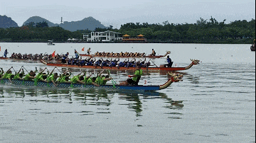 广东各地龙舟赛火热开桨这个假期的观赛指南来了→(图8)