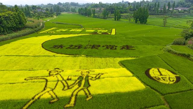 湖北端午节亲子活动推荐探索四种新颖玩法。(图1)