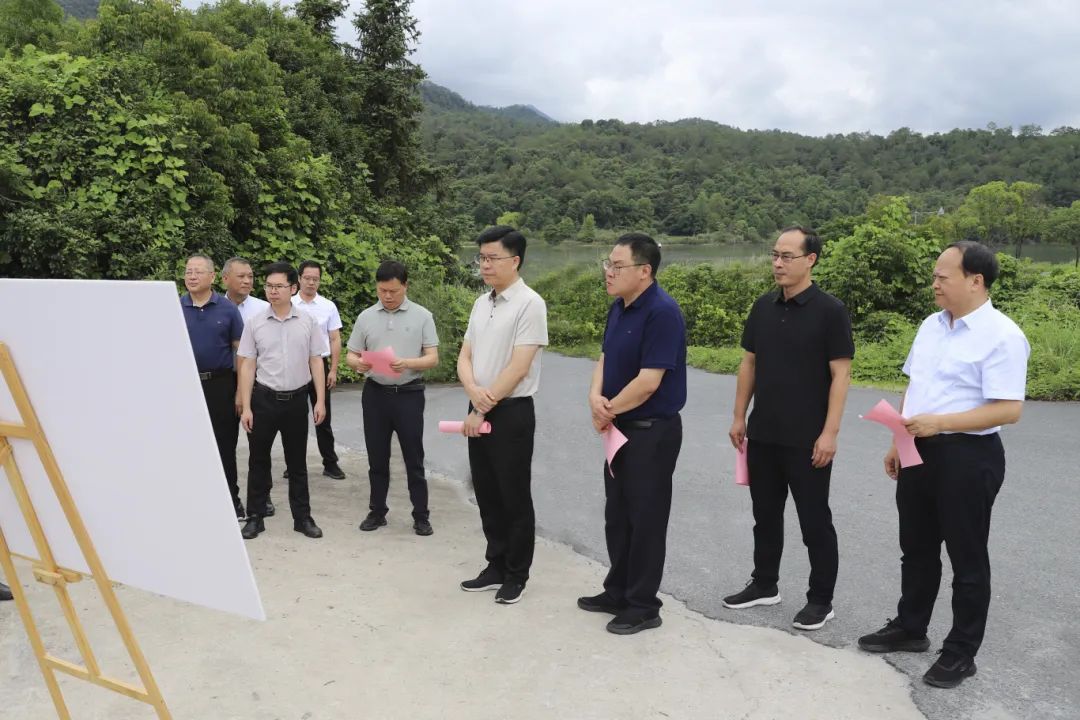 县领导开展金溪沿岸重点项目调研(图1)