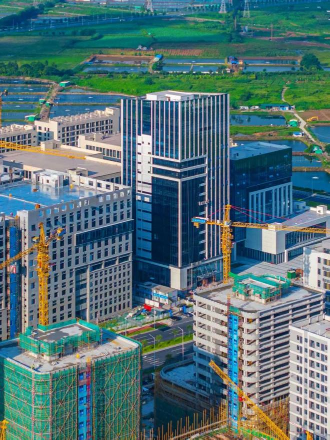 赶紧报名！江海区第二届青年短视频大赛来啦