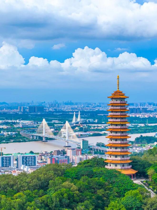 赶紧报名！江海区第二届青年短视频大赛来啦(图4)