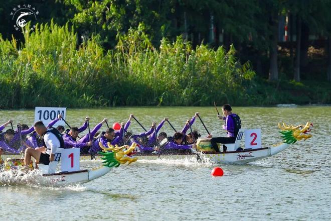 从龙舟鼓点到水乡鲜味！快来青浦赴一场“动静双绝”盛宴！(图2)