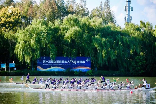 从龙舟鼓点到水乡鲜味！快来青浦赴一场“动静双绝”盛宴！