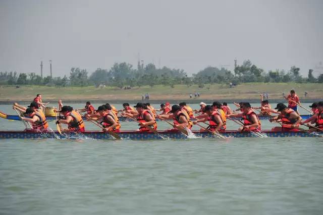 全球健儿聚青浦赛龙舟话同心