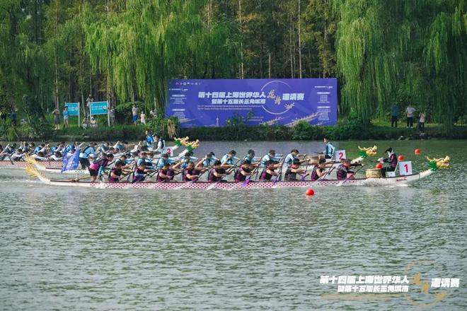 赛龙舟、“聚”知音！全球健儿赴青浦挥桨逐波话同心(图4)