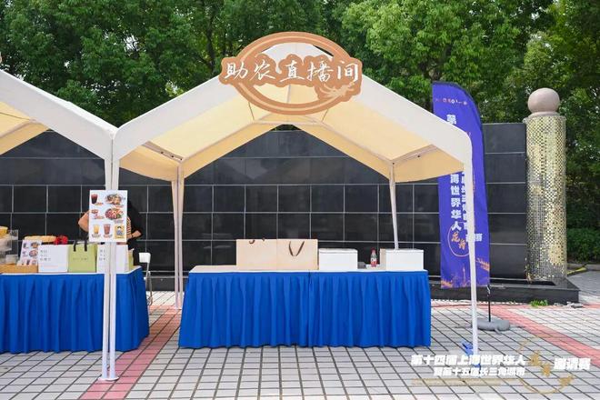 赛龙舟、“聚”知音！全球健儿赴青浦挥桨逐波话同心(图5)