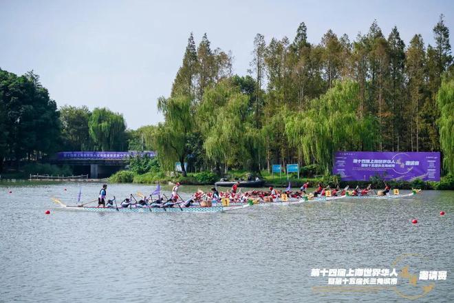 赛龙舟、“聚”知音！全球健儿赴青浦挥桨逐波话同心(图2)