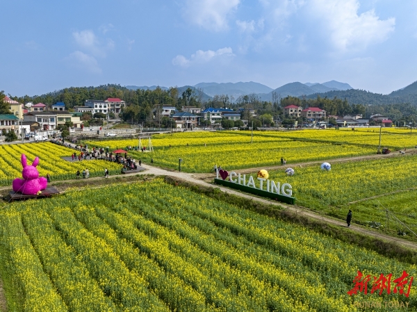 解读“望城范儿”——文旅融合高质量发展的创新实践@湖南日报特稿(图3)