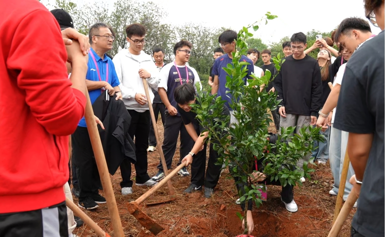 全国大学生龙舟赛队员汨罗江畔祭屈栽橘 以青春之姿传承求索精神(图2)