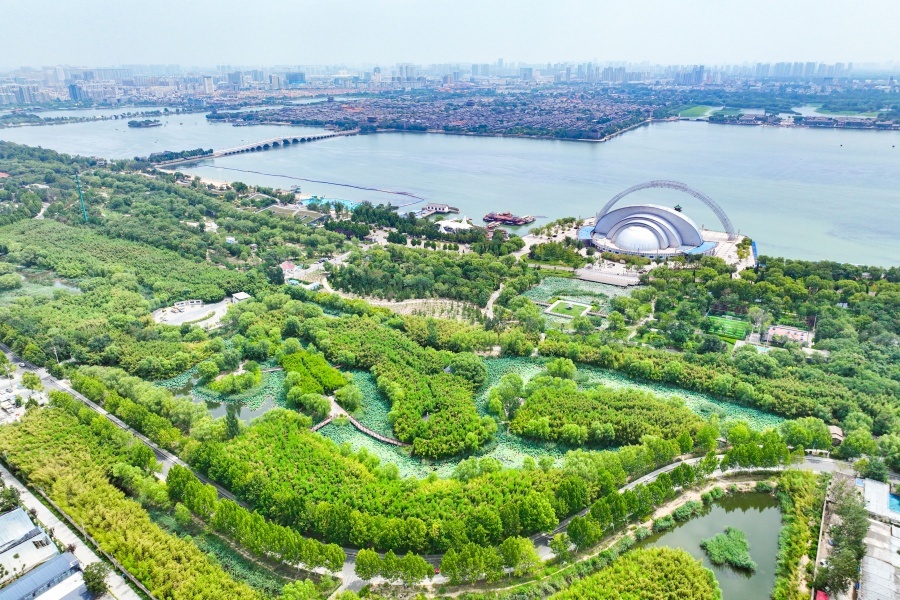 聊大龙舟 时代翘楚丨两河之约的世界舞台——从“世界冠军”到“文化符号”的跨越系列报道④