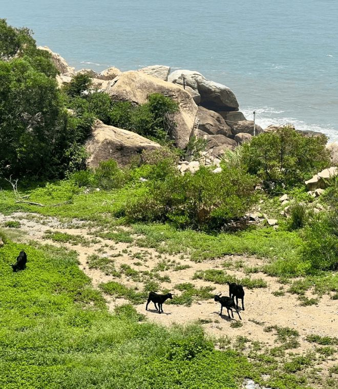 潮汕旅行攻略之五天四晚费用明细！2025潮汕必去景点、路线(图2)