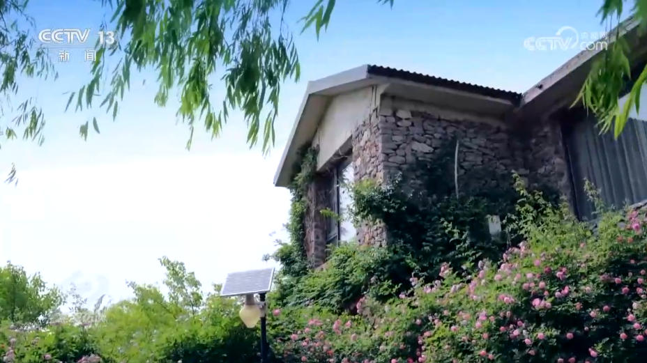 美丽中国就在你我身边 “公园+”模式让城市空间更有活力(图8)