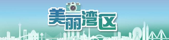 月光邂逅！十五运会吉祥物闪现香港维园中秋灯海萌力值爆表(图1)