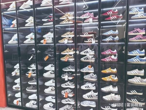 龙舟竞发 百业争流“状元精神”为莆田发展注入新动能(图1)