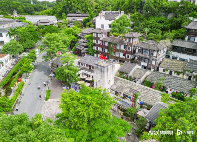 山海赋能、古村焕新：深圳农文旅融合绘全域旅游新图景(图6)