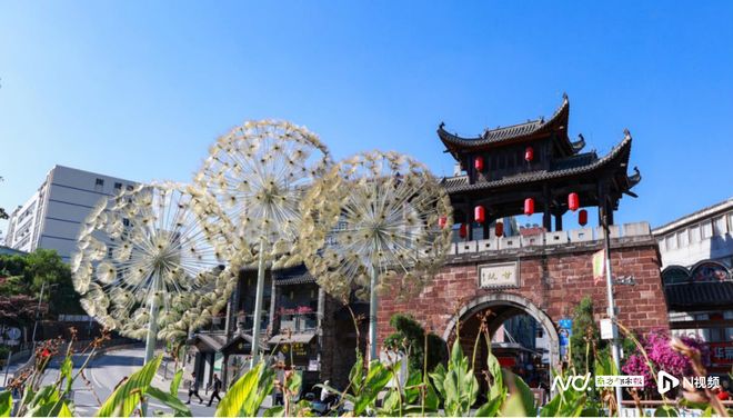 山海赋能、古村焕新：深圳农文旅融合绘全域旅游新图景(图4)