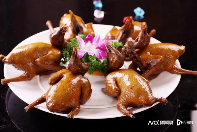 山海赋能、古村焕新：深圳农文旅融合绘全域旅游新图景(图7)