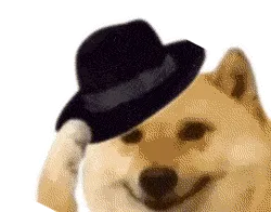 杨瀚森表现不佳热度大幅度下滑央视都不直播了