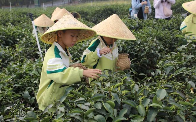 秋假去哪儿？这份研学攻略请收好(图6)