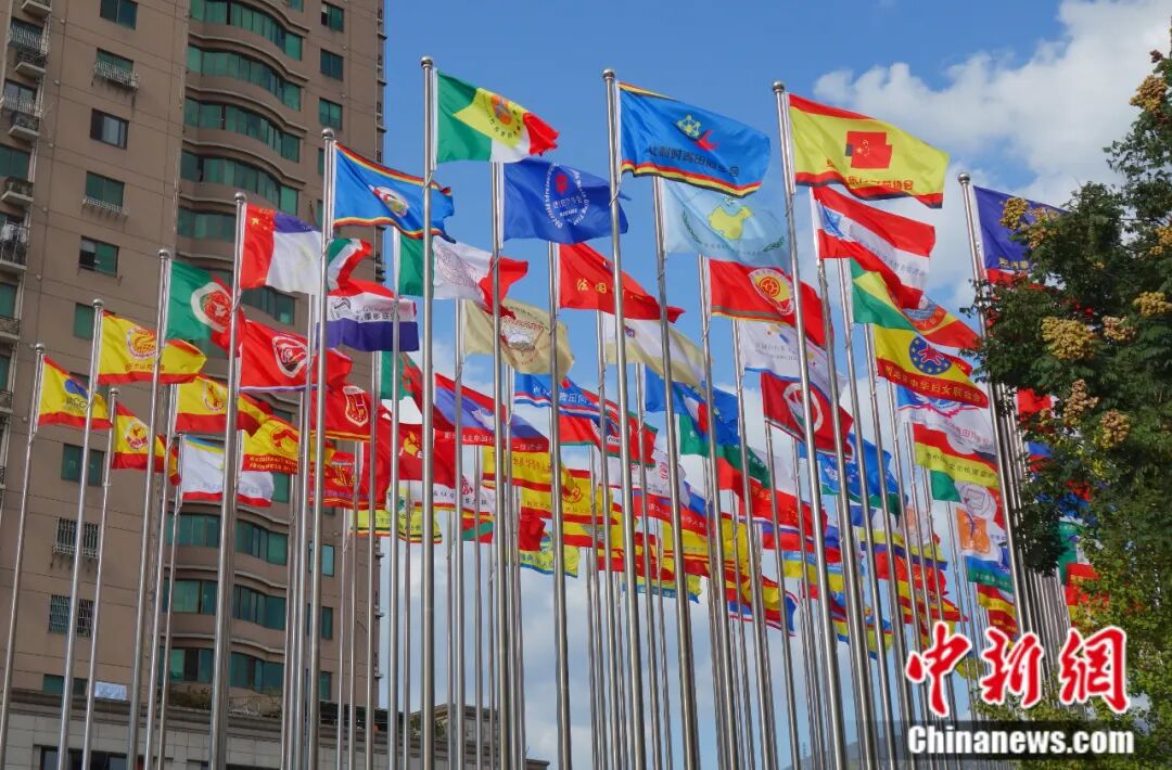 人这一辈子一定要去一趟侨乡青田！(图4)