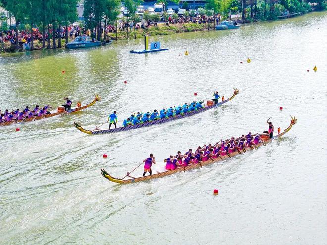 多图丨龙舟赛＋露营节乐从解锁“龙舟＋”新玩法！(图3)