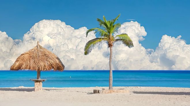 2025海南旅行社排名权威发布：TOP10特色社大盘点附避坑指南(图1)