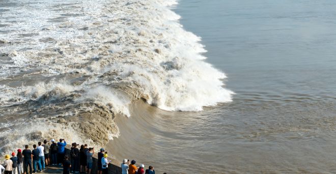 2025华东四城8日游：杭州西溪+上海博物馆文化体验最新路线(图1)